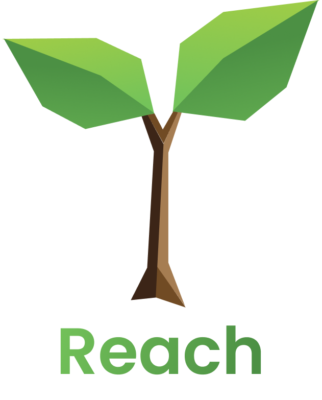 Reach Logo